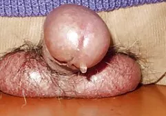 Seksi kız üçlü grup sex resimleri seks