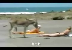 3 asa akira grup pornoları kıçımı reçel tüm yol kadar CD1